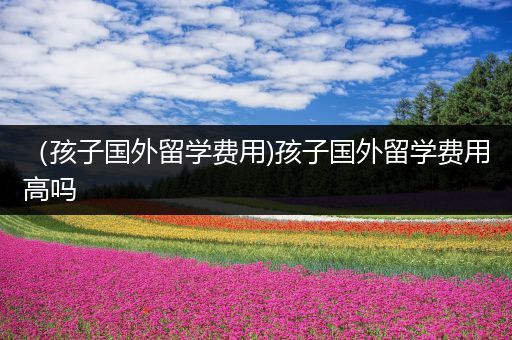 （孩子国外留学费用)孩子国外留学费用高吗