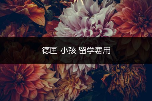 德国 小孩 留学费用