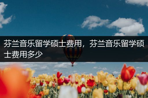 芬兰音乐留学硕士费用，芬兰音乐留学硕士费用多少