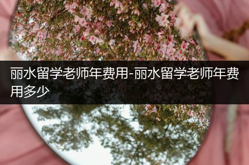 丽水留学老师年费用-丽水留学老师年费用多少