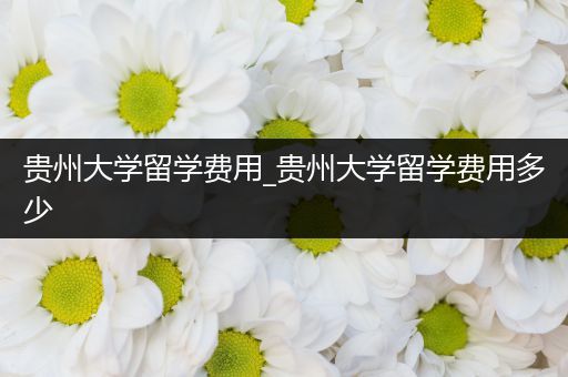 贵州大学留学费用_贵州大学留学费用多少