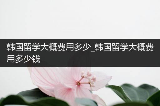 韩国留学大概费用多少_韩国留学大概费用多少钱