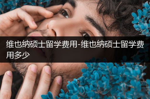 维也纳硕士留学费用-维也纳硕士留学费用多少
