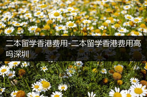 二本留学香港费用-二本留学香港费用高吗深圳