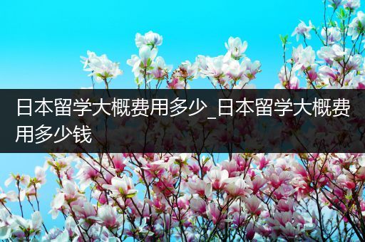 日本留学大概费用多少_日本留学大概费用多少钱