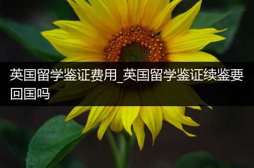 英国留学鉴证费用_英国留学鉴证续鉴要回国吗