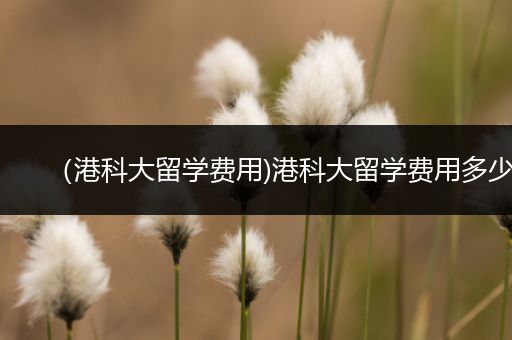 （港科大留学费用)港科大留学费用多少