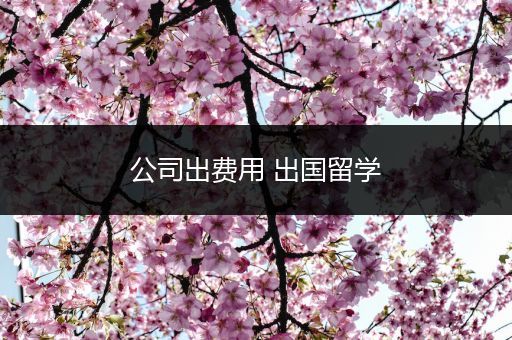 公司出费用 出国留学