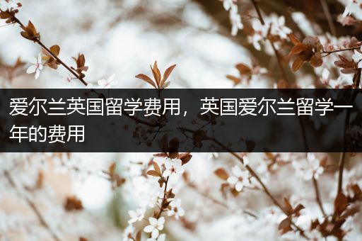爱尔兰英国留学费用，英国爱尔兰留学一年的费用