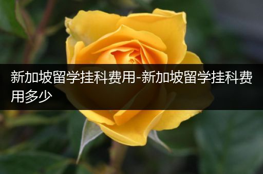 新加坡留学挂科费用-新加坡留学挂科费用多少