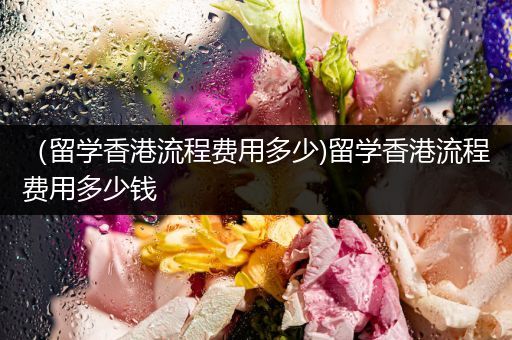 （留学香港流程费用多少)留学香港流程费用多少钱