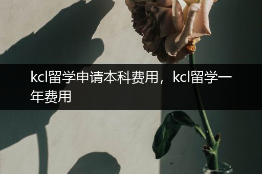 kcl留学申请本科费用，kcl留学一年费用
