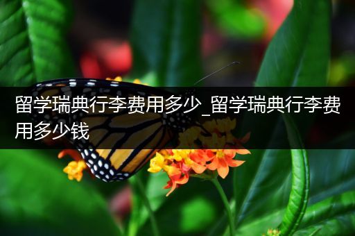 留学瑞典行李费用多少_留学瑞典行李费用多少钱