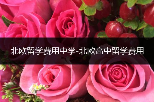 北欧留学费用中学-北欧高中留学费用