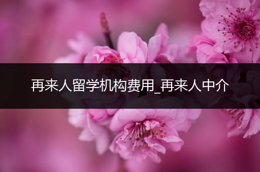 再来人留学机构费用_再来人中介