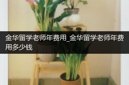 金华留学老师年费用_金华留学老师年费用多少钱