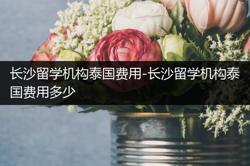 长沙留学机构泰国费用-长沙留学机构泰国费用多少
