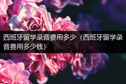 西班牙留学录音费用多少（西班牙留学录音费用多少钱）