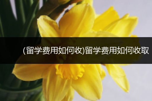 （留学费用如何收)留学费用如何收取