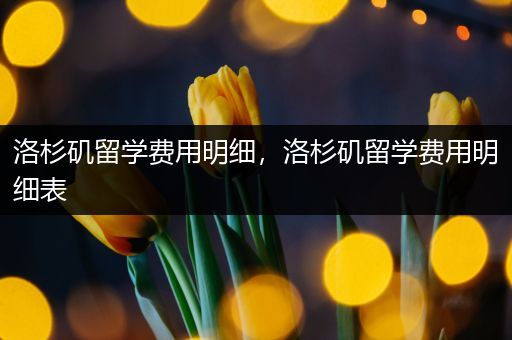 洛杉矶留学费用明细，洛杉矶留学费用明细表
