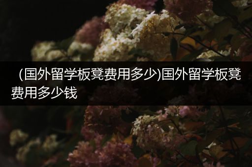 （国外留学板凳费用多少)国外留学板凳费用多少钱