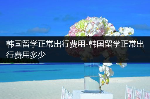 韩国留学正常出行费用-韩国留学正常出行费用多少