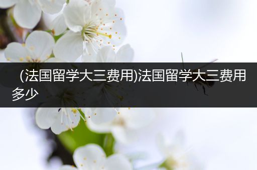 （法国留学大三费用)法国留学大三费用多少