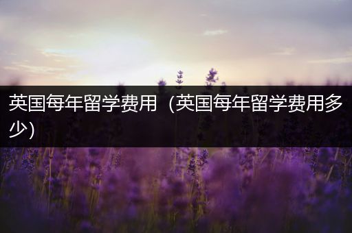 英国每年留学费用（英国每年留学费用多少）