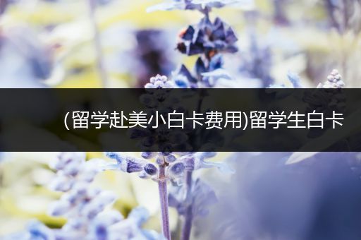 （留学赴美小白卡费用)留学生白卡