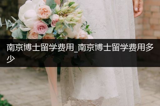 南京博士留学费用_南京博士留学费用多少