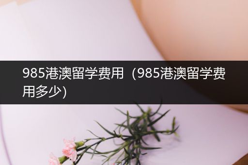 985港澳留学费用（985港澳留学费用多少）