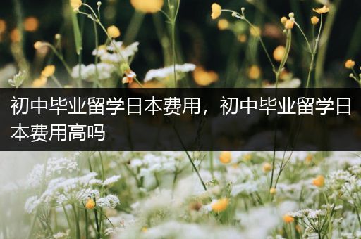 初中毕业留学日本费用，初中毕业留学日本费用高吗