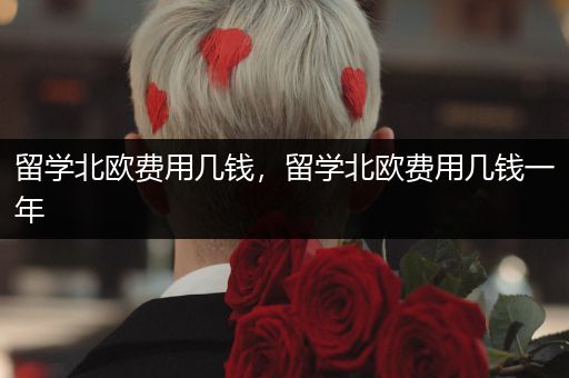 留学北欧费用几钱，留学北欧费用几钱一年