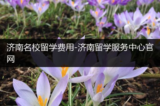 济南名校留学费用-济南留学服务中心官网