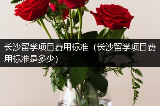 长沙留学项目费用标准（长沙留学项目费用标准是多少）