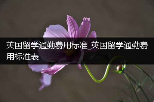 英国留学通勤费用标准_英国留学通勤费用标准表
