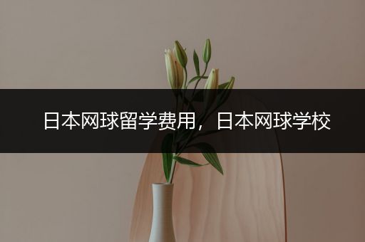 日本网球留学费用，日本网球学校