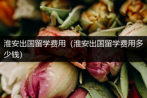 淮安出国留学费用（淮安出国留学费用多少钱）