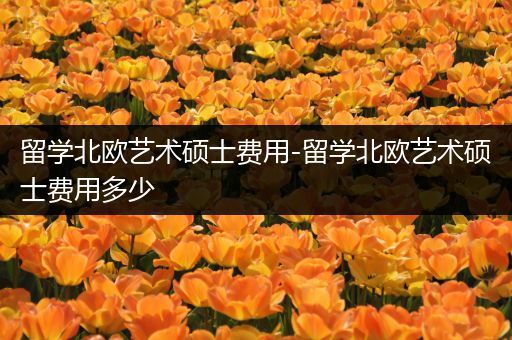 留学北欧艺术硕士费用-留学北欧艺术硕士费用多少