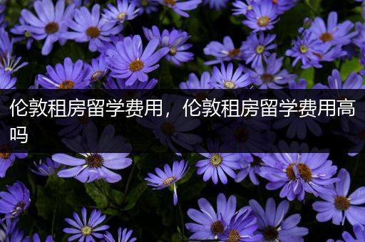 伦敦租房留学费用，伦敦租房留学费用高吗