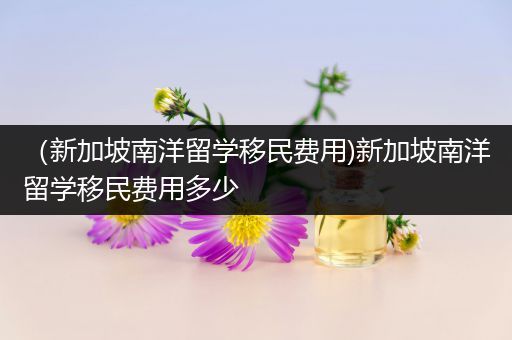 （新加坡南洋留学移民费用)新加坡南洋留学移民费用多少