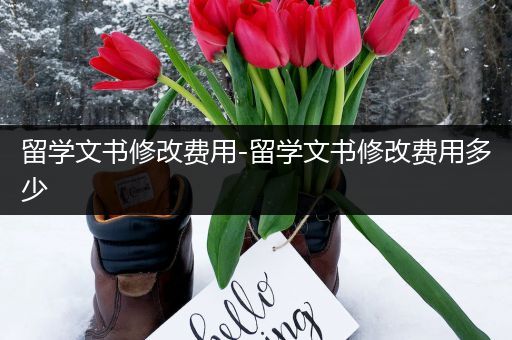 留学文书修改费用-留学文书修改费用多少