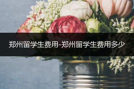 郑州留学生费用-郑州留学生费用多少