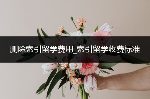 删除索引留学费用_索引留学收费标准