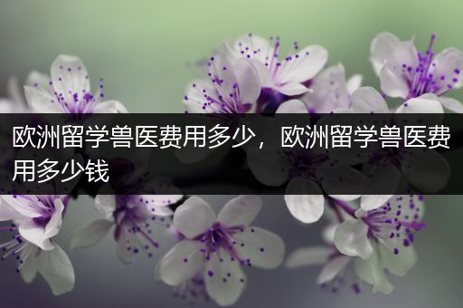 欧洲留学兽医费用多少，欧洲留学兽医费用多少钱