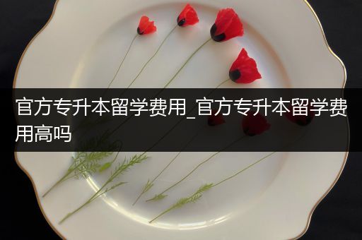 官方专升本留学费用_官方专升本留学费用高吗