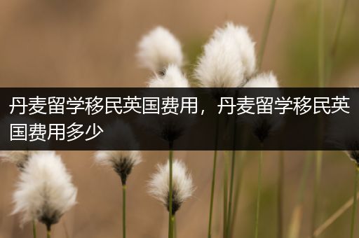 丹麦留学移民英国费用，丹麦留学移民英国费用多少