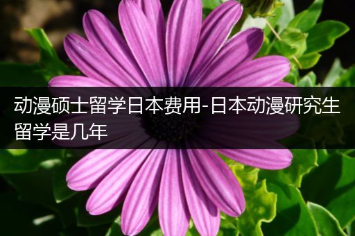 动漫硕士留学日本费用-日本动漫研究生留学是几年
