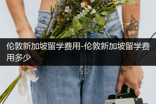 伦敦新加坡留学费用-伦敦新加坡留学费用多少