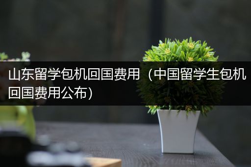 山东留学包机回国费用（中国留学生包机回国费用公布）